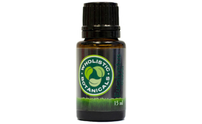 Eucalyptus Globulus Essential Oil
