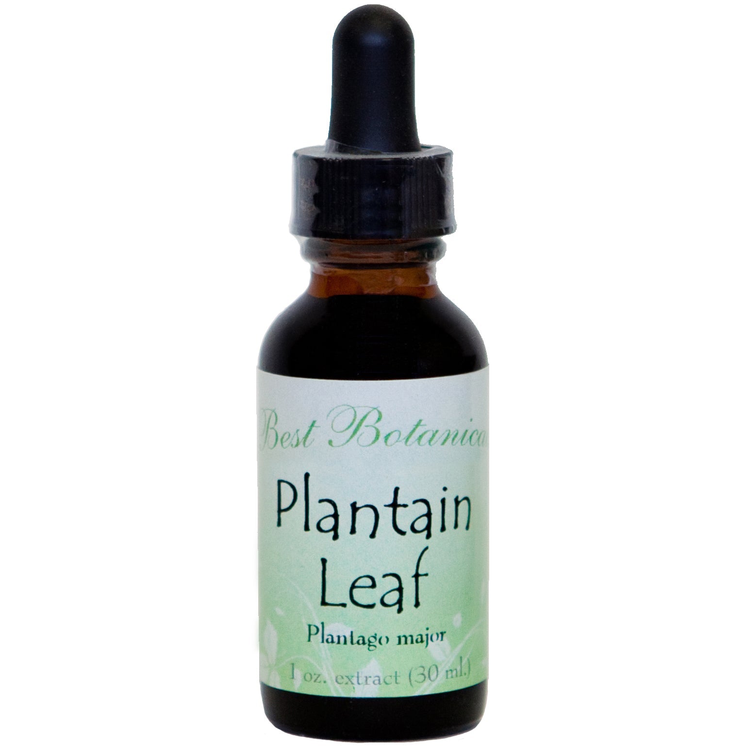 Plantain Leaf Alcohol Extract