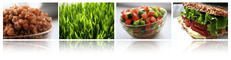 A Feast for the Senses (instant download)